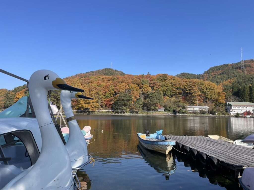 木崎湖ワカサギ釣果情報　11/14